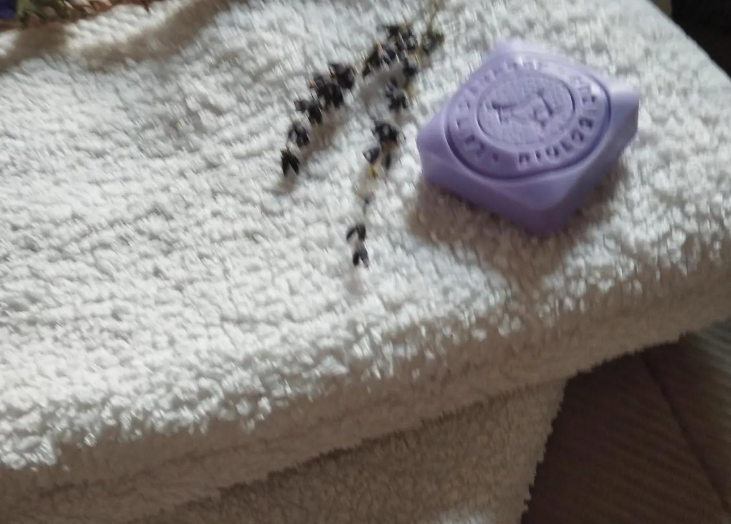 Chambre Au Panier مارسيليا 0*,  فرنسا